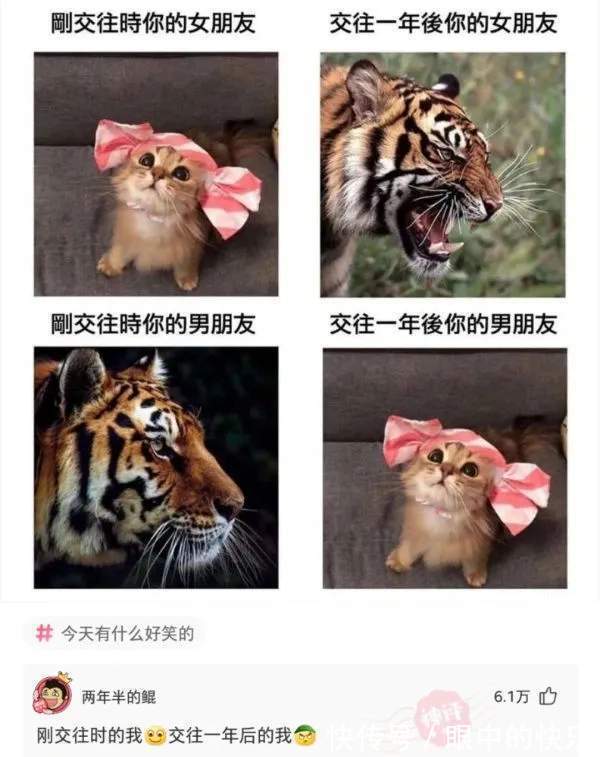 |搞笑合集:村子里有一群神秘人,整日打牌不愁吃喝,哪来的钱