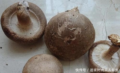 香菇|买香菇时,聪明人看到这5种转身就走,菜贩子也从不让家里人吃!