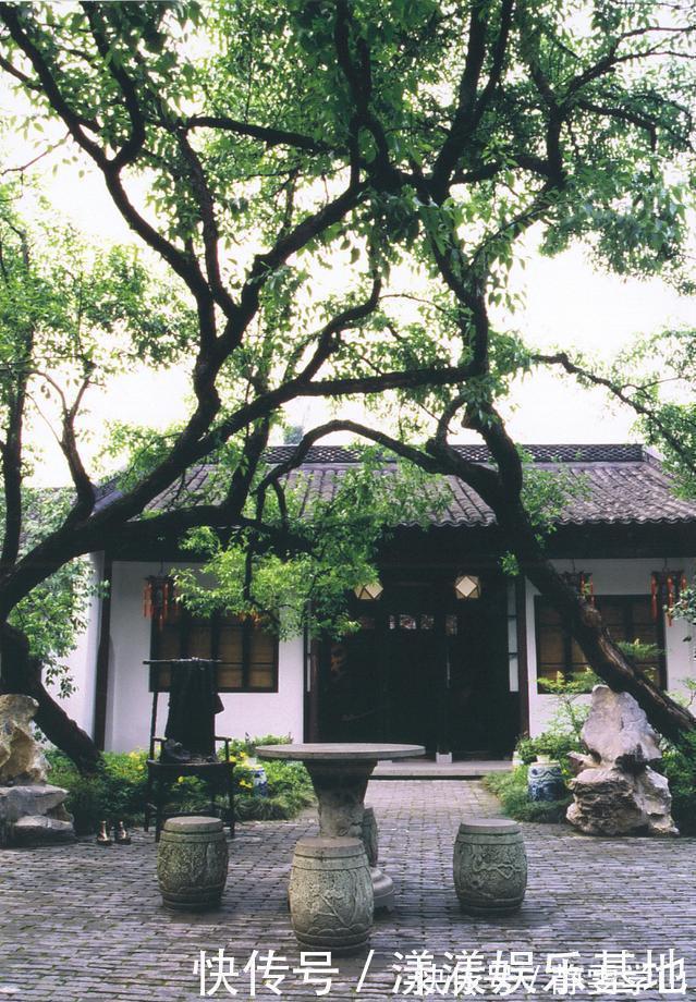 桂花树|4种树“自带体香”，家有小院养一棵，很好闻