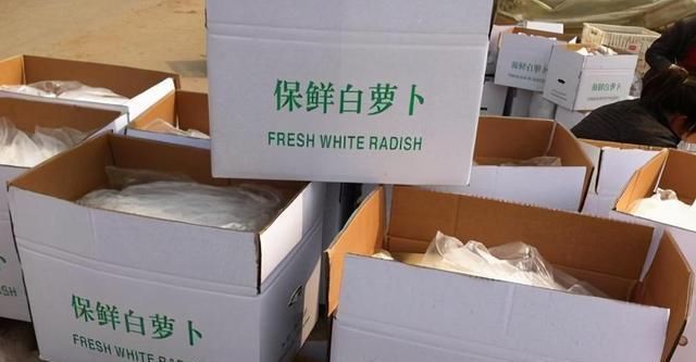 萝卜|冬天保存白萝卜,原来很简单,不放冰箱不埋土,放一冬天照样新鲜