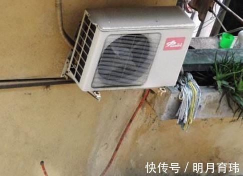 花美极|想要兰花叶子绿, 用这种水来浇, 养出的花美极了