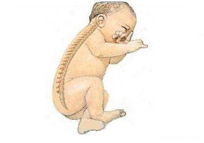 宝宝|想知道宝宝几个月开始学坐？先了解下孩子颈椎发育的过程