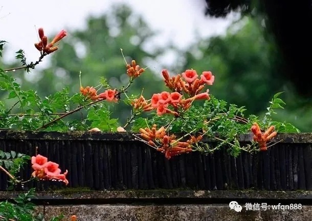 晏几道&晏殊最痴情的一首词,开篇9个字惊艳世人,最后一句却被争议千年