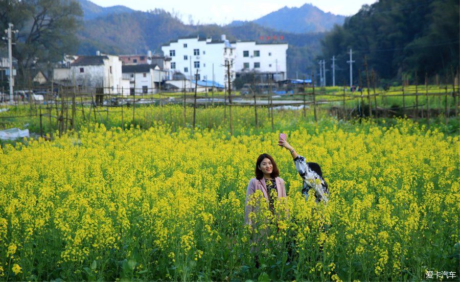 阳春三月，游婺源赏油菜花