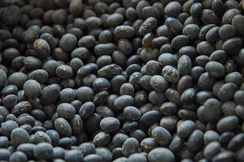 虾皮是“补钙神器”?医生:别盲目补,真正补钙的食物已为你列出