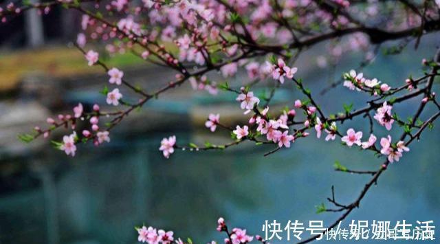 敦煌曲子词$120年前被发现的唐五代奇文,句句叠字开头,仅44字美得令人心醉