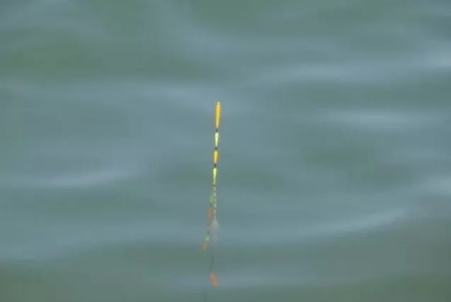 鲤鱼这钓法，我用了30年，每次渔获几十斤！