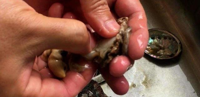 鲍鱼到底有多脏？厨师用刷子刷了5分钟，切片吃一口：太嫩了