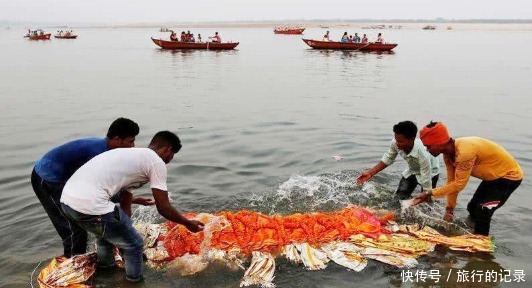 泛滥成灾|印度鲶鱼泛滥成灾,向日本求助遭拒,中方的做法备受称赞