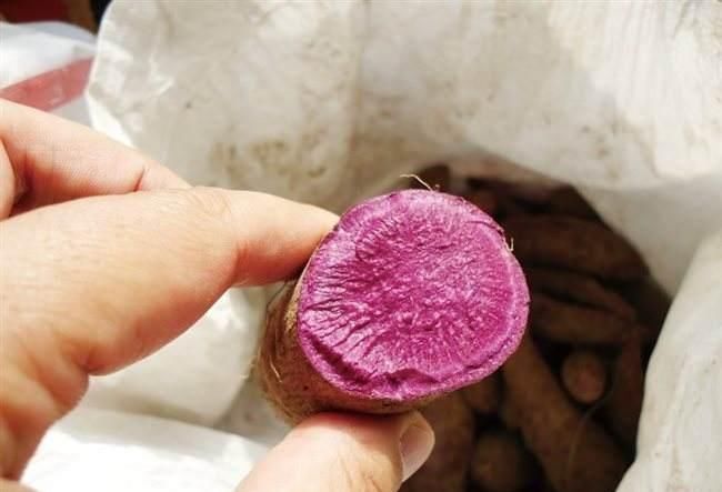 花青素|花青素“最多”的4大食物,尤其是第三种,被称为花青素之王!