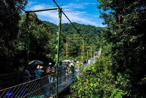 柳州有个超纯净的景区，流水潺潺是天然氧吧，快来此体验原始生活