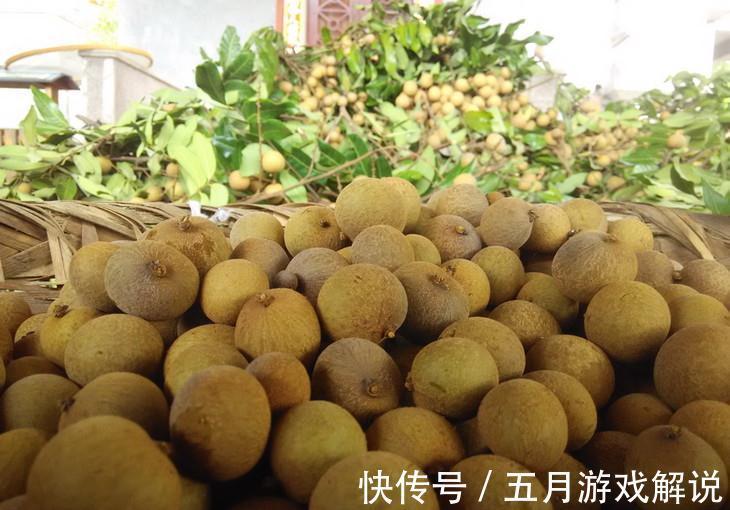 保存龙眼，最好别放冰箱，教你2种好方法，保存时间长，好吃解馋