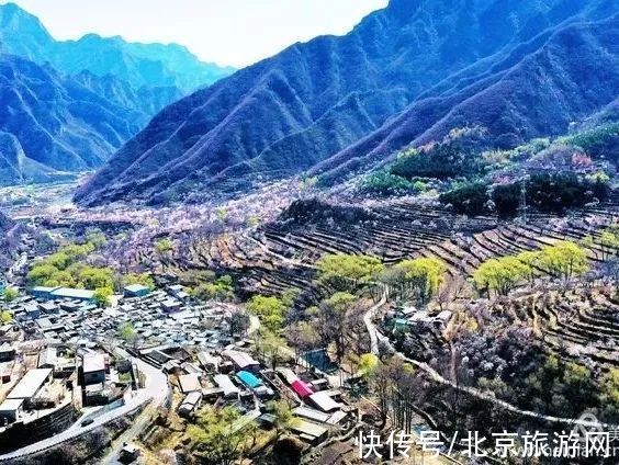 十渡|春已至，花绽放！这份房山赏花攻略请查收！