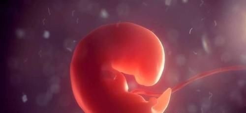 胚胎|怀孕1~10个月，胎儿发育变化全过程！想“修炼成人”还得过四关