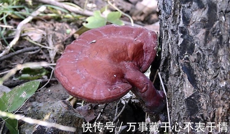 慢性肝炎|肝不好眼知道,两种迹象说明”肝癌“已经找上门,3招护眼更护肝