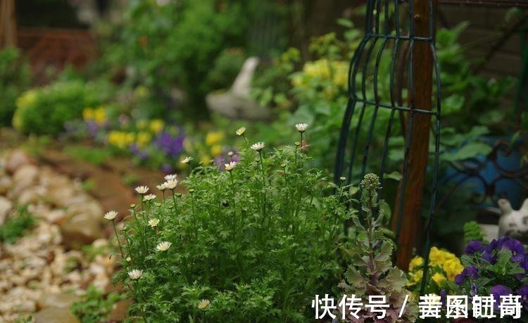 花园|荒废多年的80㎡小院，2年半时间打造成下沉式花园，太漂亮了！