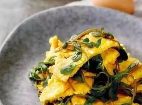 个个|7种农村常见的野菜,个个都是治病的“良药”,你吃过几个