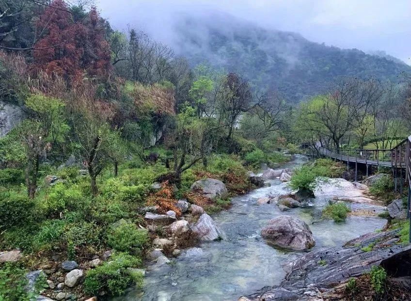 人间四月天，麻城看杜鹃！龟峰山十万亩古杜鹃盛开迎五一