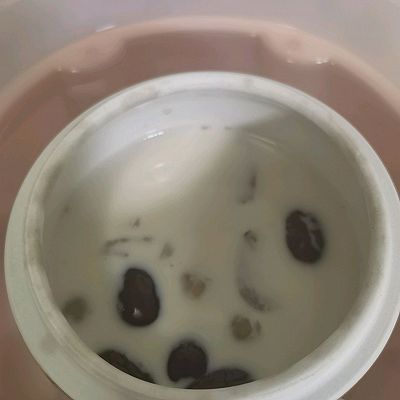 红枣|花胶炖牛奶