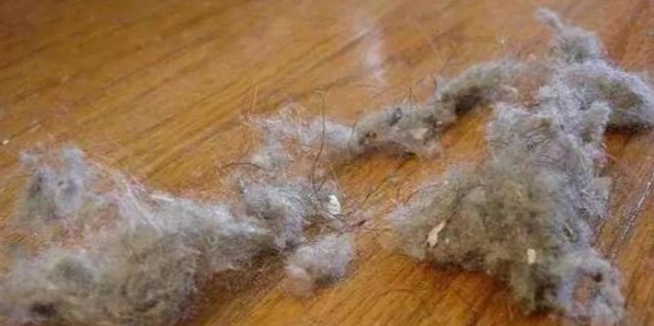 门窗|家里每天扫角落还会“毛毛”,冷知识要清楚,别等清理时就生气