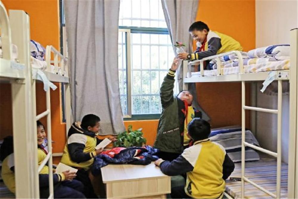 孤儿院|白岩松坚决不送孩子寄宿,住校生是半个孤儿院儿童?没那么严重