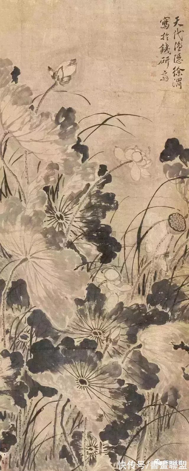 花鸟画$写意鼻祖:花鸟画——徐渭