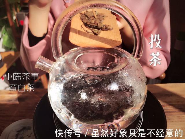 煮白茶的独门秘籍是什么选散茶还是饼茶这份硬核清单告诉你