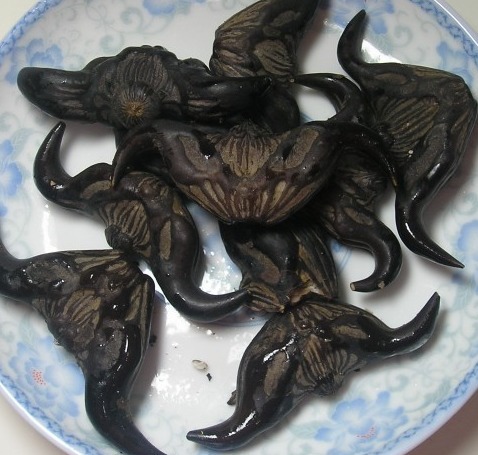 功效|这种农村水里长出来的植物，不仅能补脾益气，还有减肥的功效！