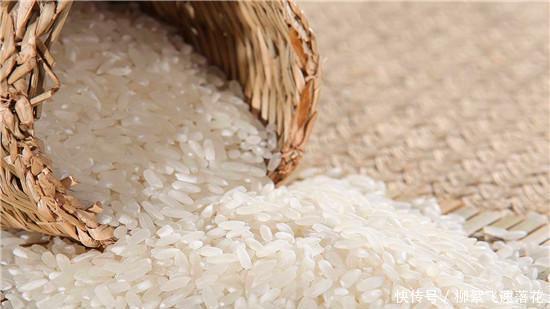 变质|大米生虫不能晒,米店老板教我一招,大米不生虫不变质