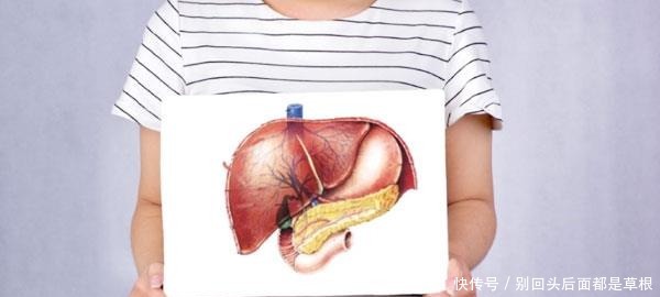 延长|肝癌从早期到晚期，可能经历多长时间做好几件事或能延长生存期！