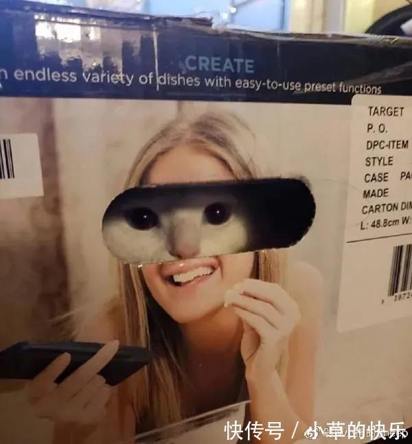 |搞笑时刻:第一天进宿舍,怎么能让别人怕我?