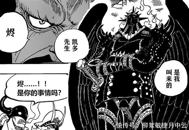 海贼王|海贼王乌尔缇悬赏金有多高漫迷9亿打底!