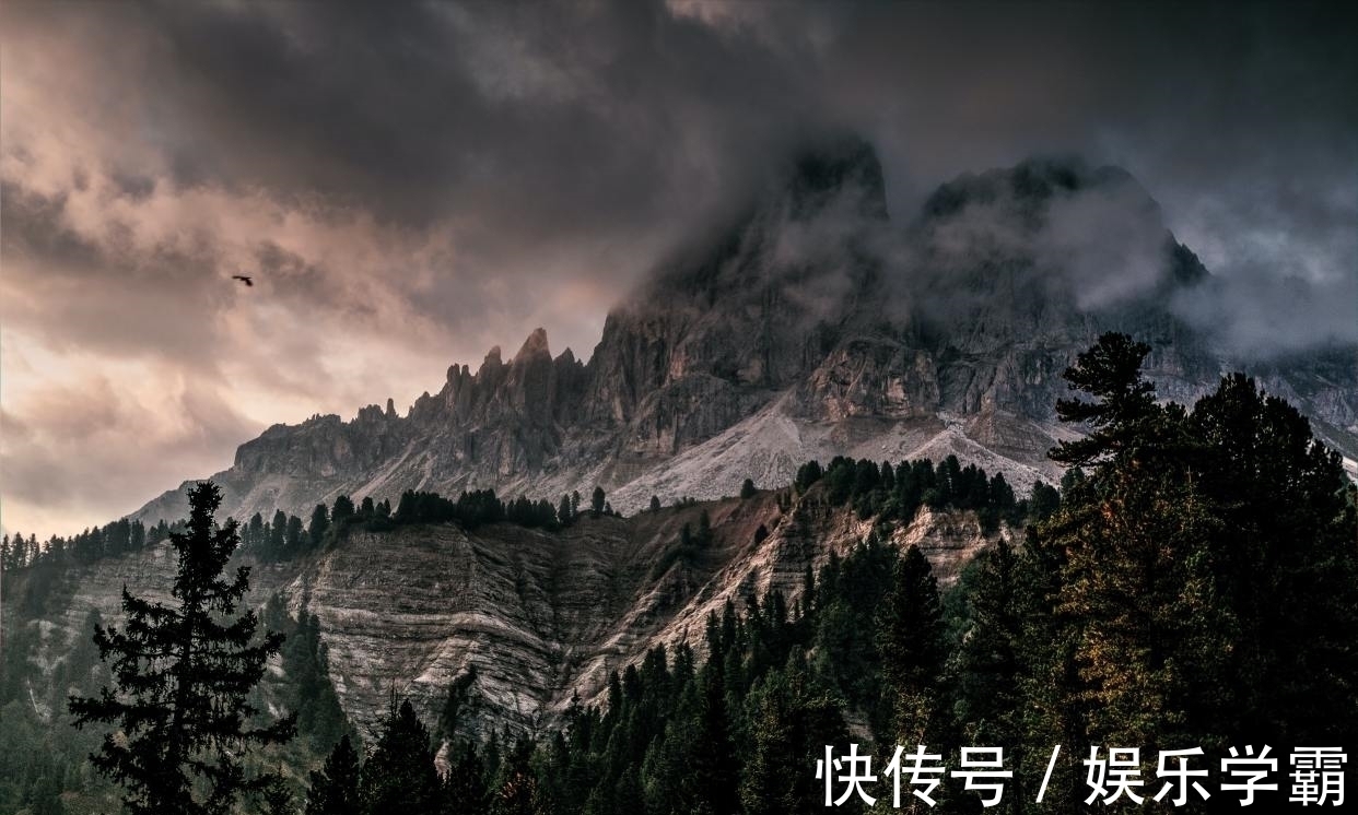 李白&苏轼题在寺庙墙壁上的一首诗,写出深刻人生哲理,百读不厌