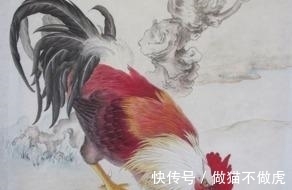 吉星|燕子不进苦寒门：大金鸡，“您真了不起啊”，2020年囍！