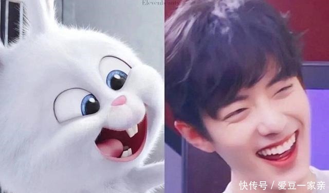 肖战|肖战一天登两次泰趋,原因很可爱