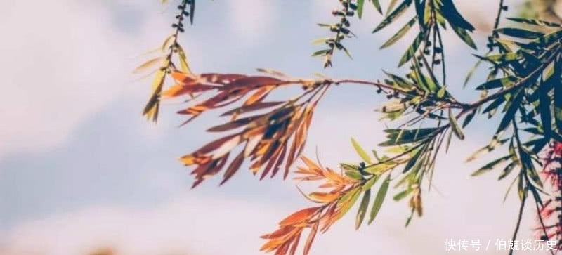  携手|刘禹锡与白居易不愧是好朋友，出门携手游玩，并为此还写下一首诗