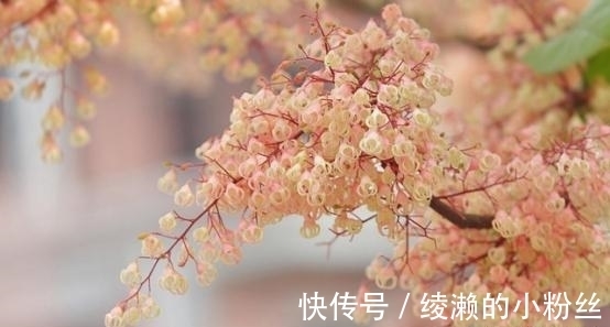 牵挂|5天后，心有牵挂，无处可避，怀念曾经，重归于好，今生不负情意