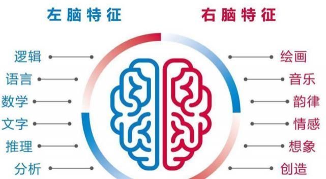 并非|美国心理学家研究高智商儿童的确有共同点，但并非是遗传