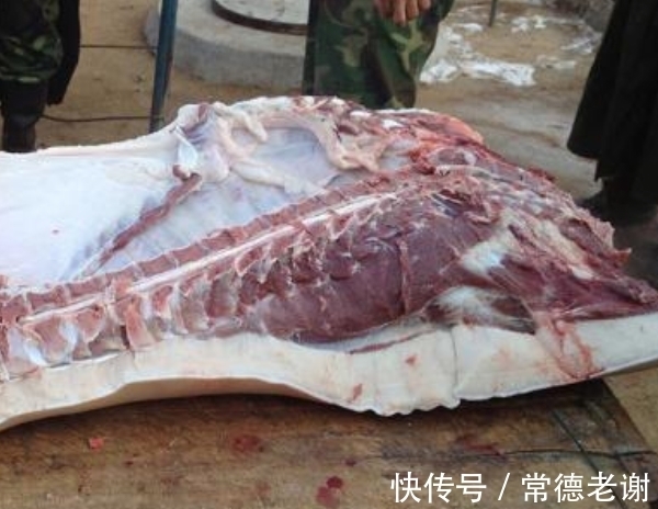 顺口溜|猪肉贩子说漏嘴, 买猪蹄时记住3句“顺口溜”, 一挑一个准不吃亏