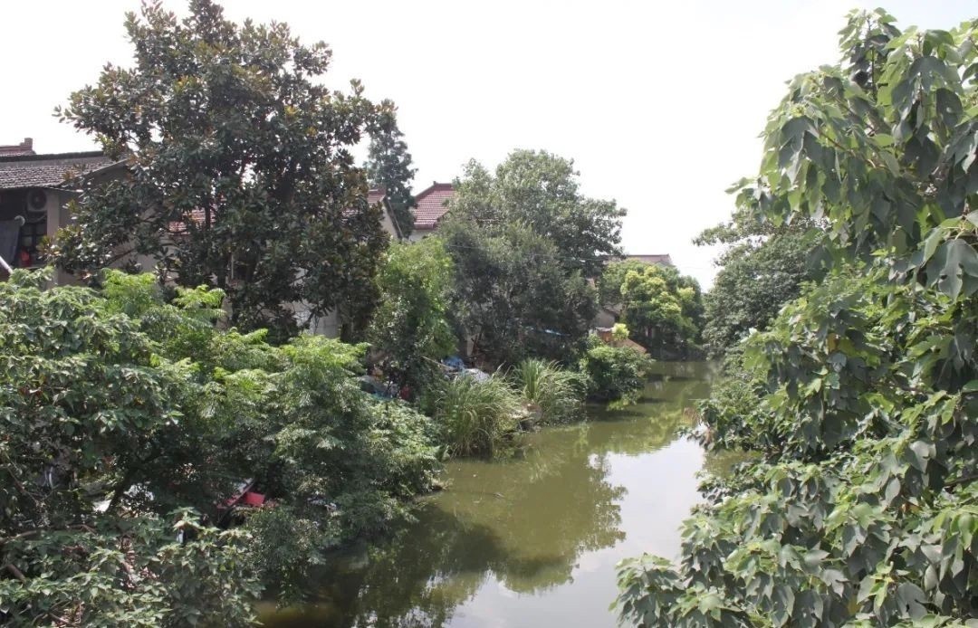 再现|连环画再现这段诸翟往事,你有没有看入迷?