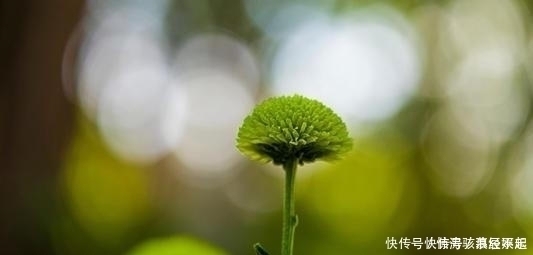 投资理财|出生在几点钟的孩子，有财神爷庇护，旺父旺母旺全家，富足安康