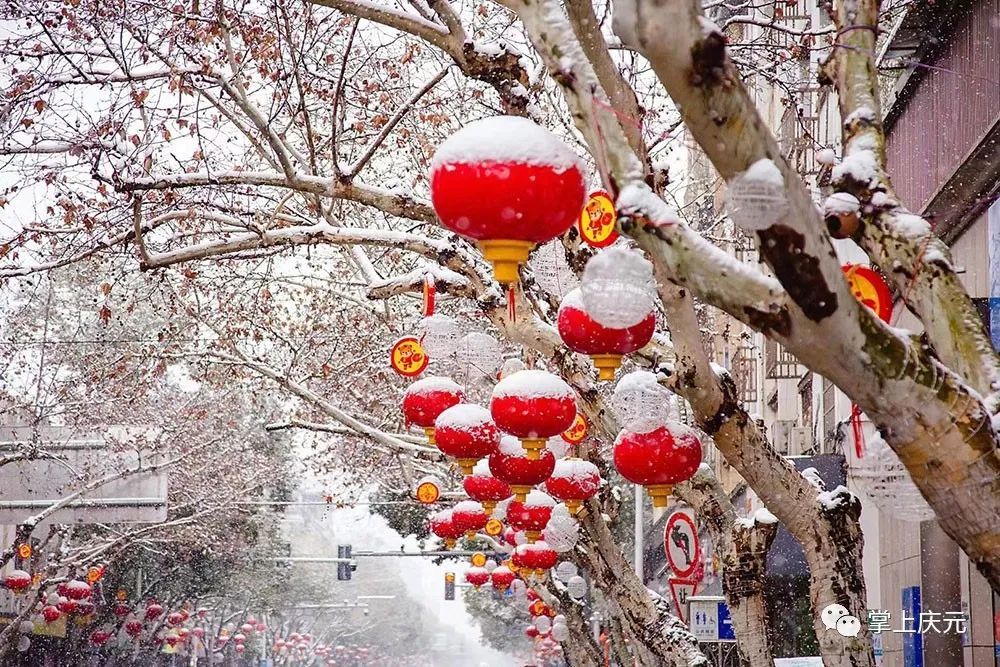 叶武|雪中庆元，每一帧每一秒都美到窒息！