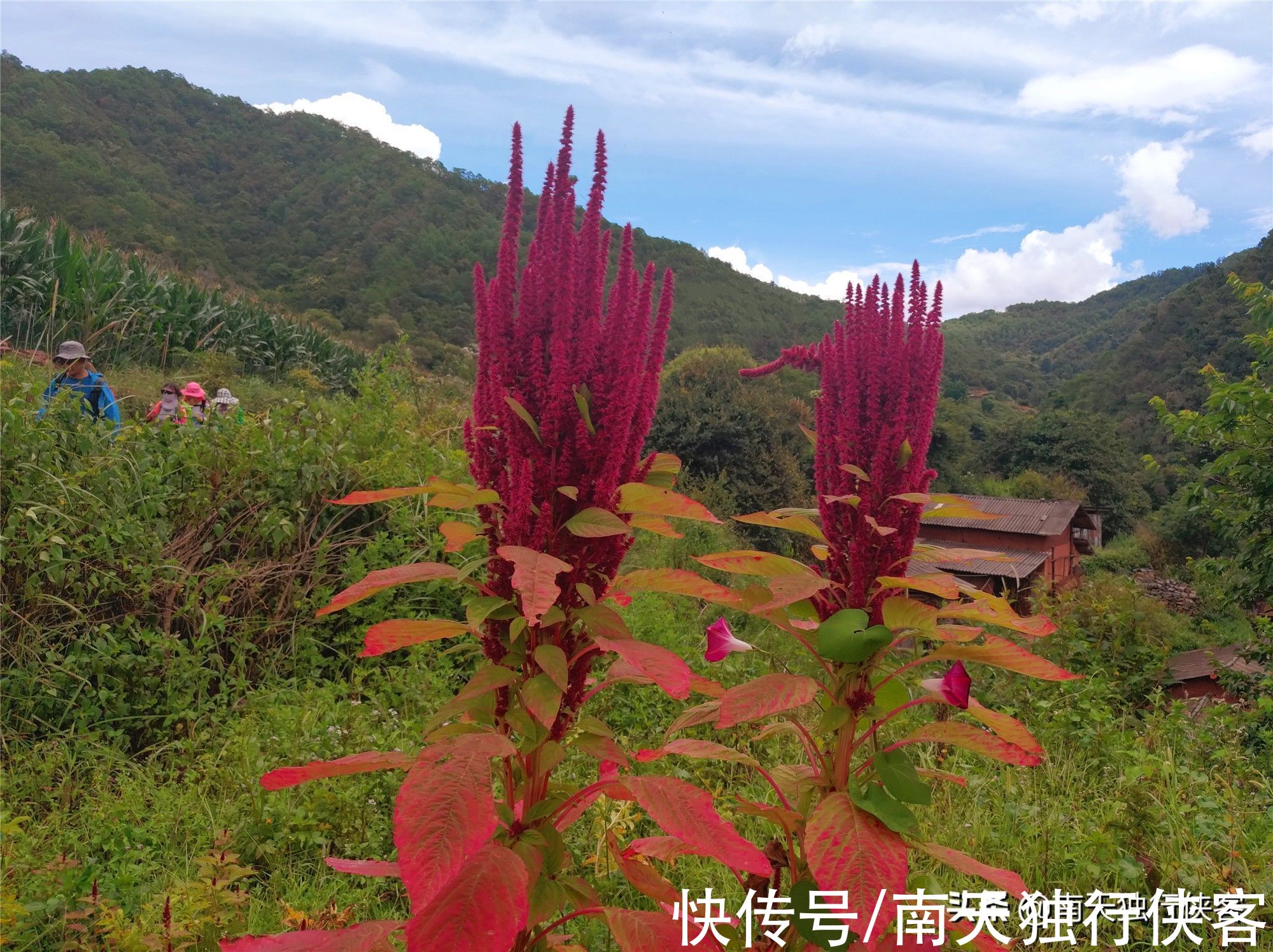 古道|探寻云南南平关、响水关，古关已湮没，只遗古道西风、小桥流水