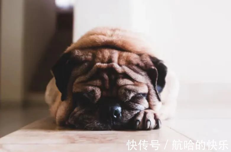 |幽默笑话:《小老婆》