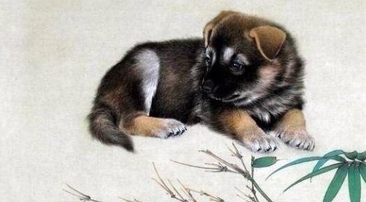 主动性|年底再赚一桶金的3生肖,近期生意好,事业强,年终业绩再上层楼