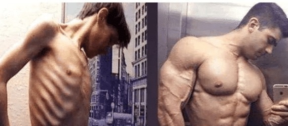 乳清蛋白粉|不健身也不运动的人吃蛋白粉，1年后身体会变怎样