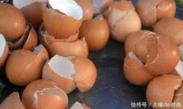 好处|吃完鸡蛋丢掉蛋壳大错特错,对女性好处堪比护肤品,女性要了解