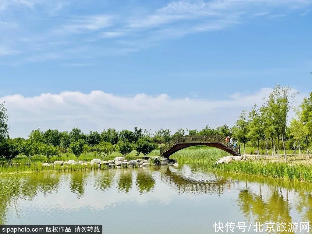 水天|北京又一个油画里走出来的湿地公园，无须预约，免费停车，还能走到湖中赏水天一线