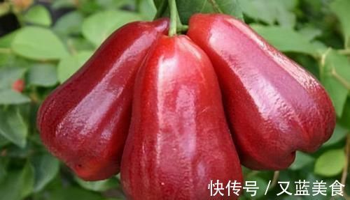 美容护肤|女性不愿老太快，推荐吃3种食物，排毒养颜、美容护肤，增强体质