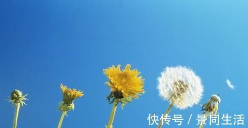 果糖|尿酸高的人，平时多吃“它”，尿酸悄悄降，痛风不再来打扰